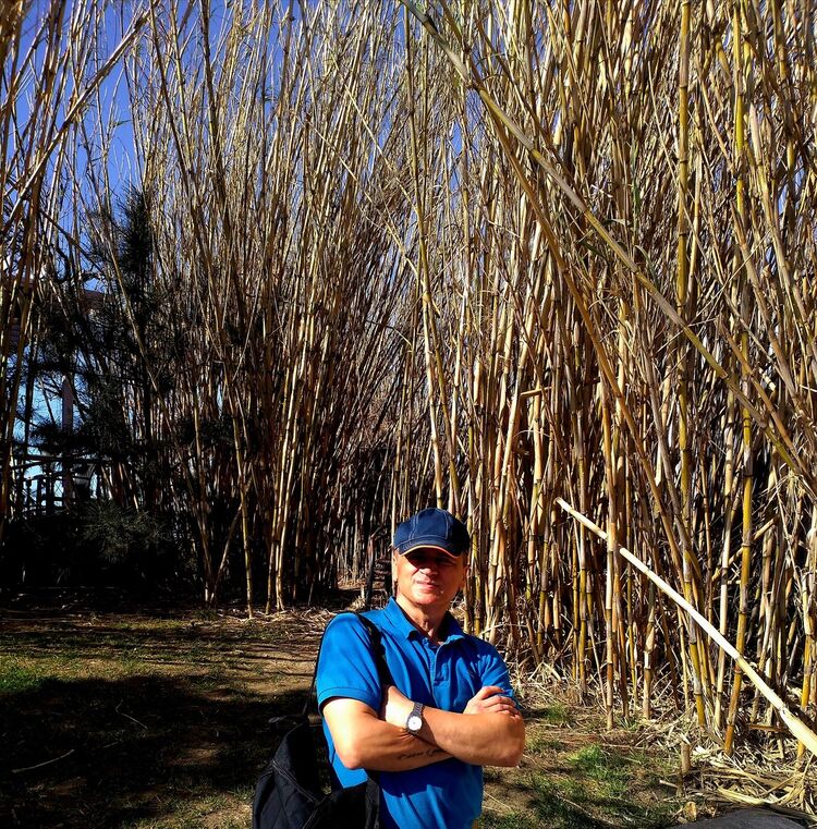 ���� 19658426 ������� ������, 52 ����, ���� ���������� � ����