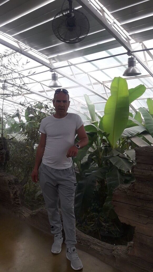  ,   , 48 ,  