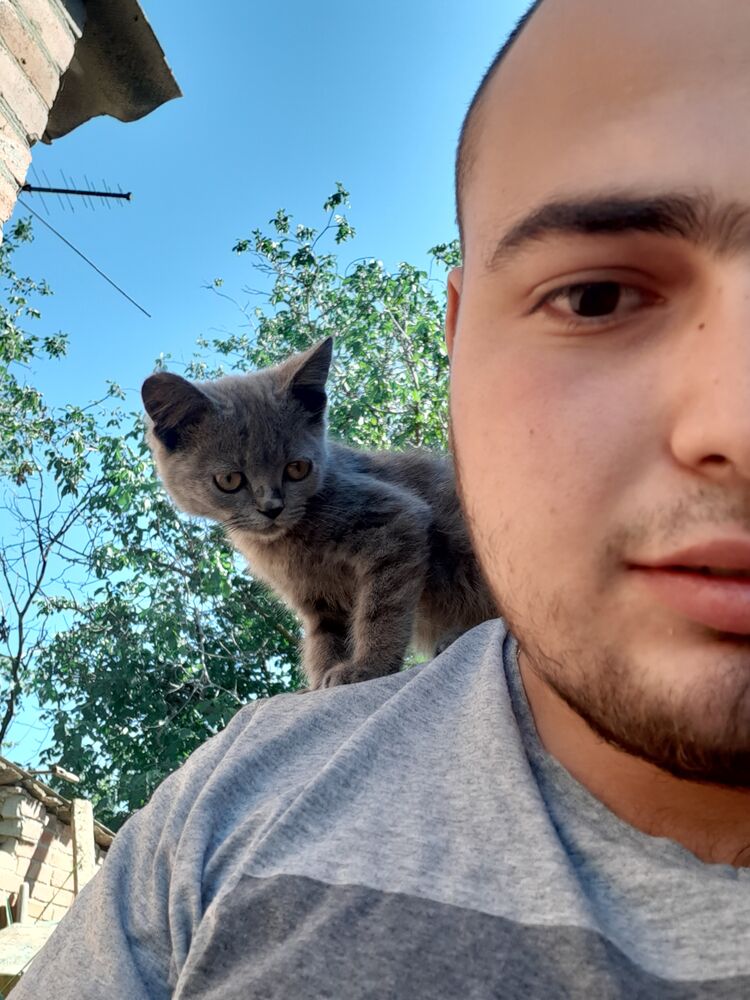 ���� 25669206 ������� �������, 26 ���, ���� ���������� � �������-��-����