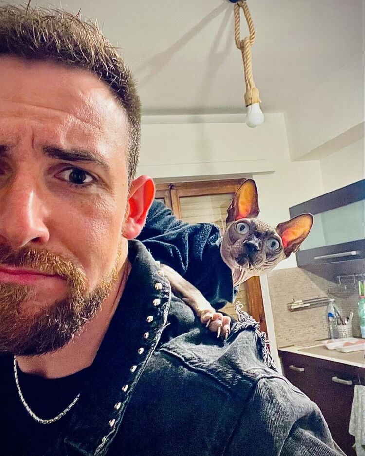 ���� 50784936 ������� ����, 38 ���, ���� ���������� � �������