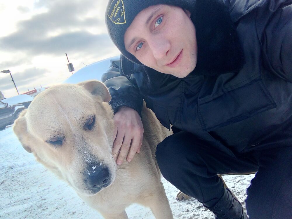 ���������� ������, ���� ������� ������, 34 ����, ������������ ��� ������, ����� � ���������, c�������� ���������