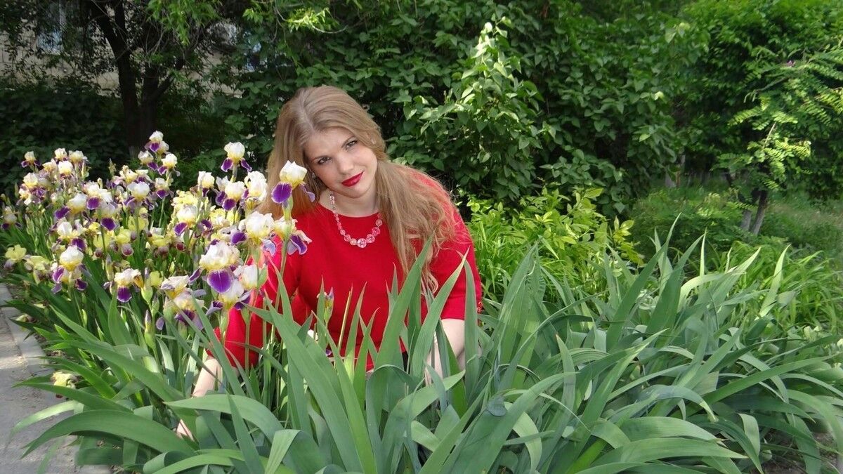 ���������� ���������, ���� ������� �����, 44 ����, ������������ ��� ������, ����� � ���������, c�������� ���������, ���������