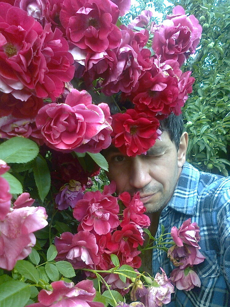  ,   , 52 ,  