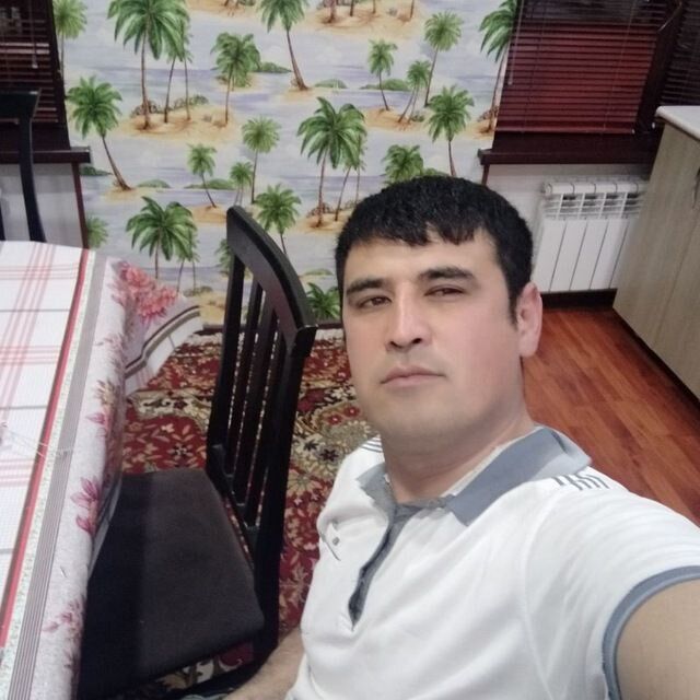  31938656  , 37 ,    