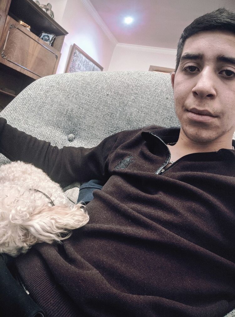 ���� 19128576 ������� Hrant, 26 ���, ���� ���������� � �������