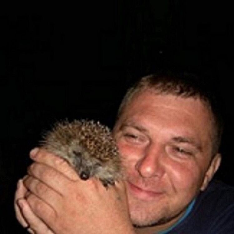 ���� 7242366 ������� Gjhn39, 46 ���, ���� ���������� � ������������