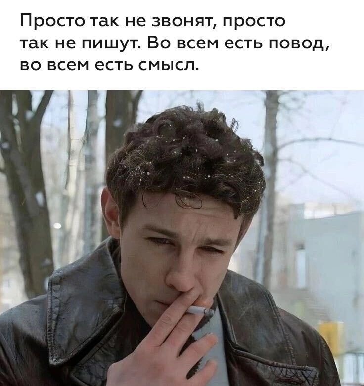  49768406  , 28 ,    