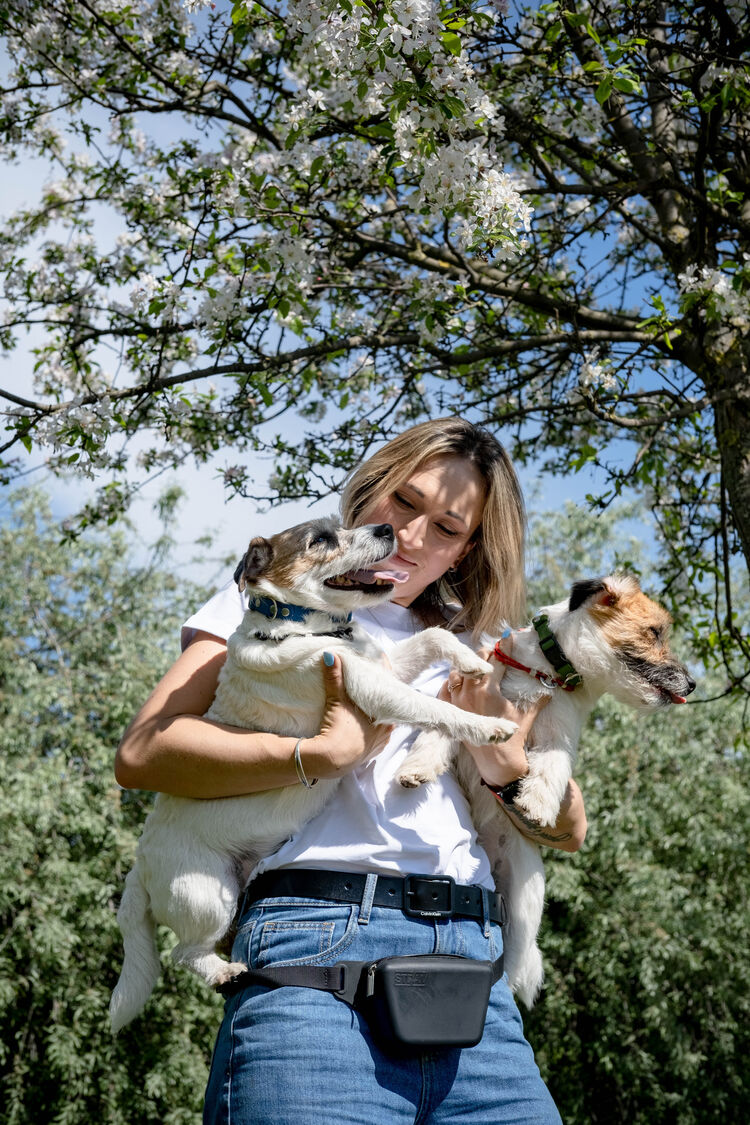 ���������� �����-���������, ���� ������� �����, 37 ���, ������������ ��� ����� � ���������, c�������� ���������