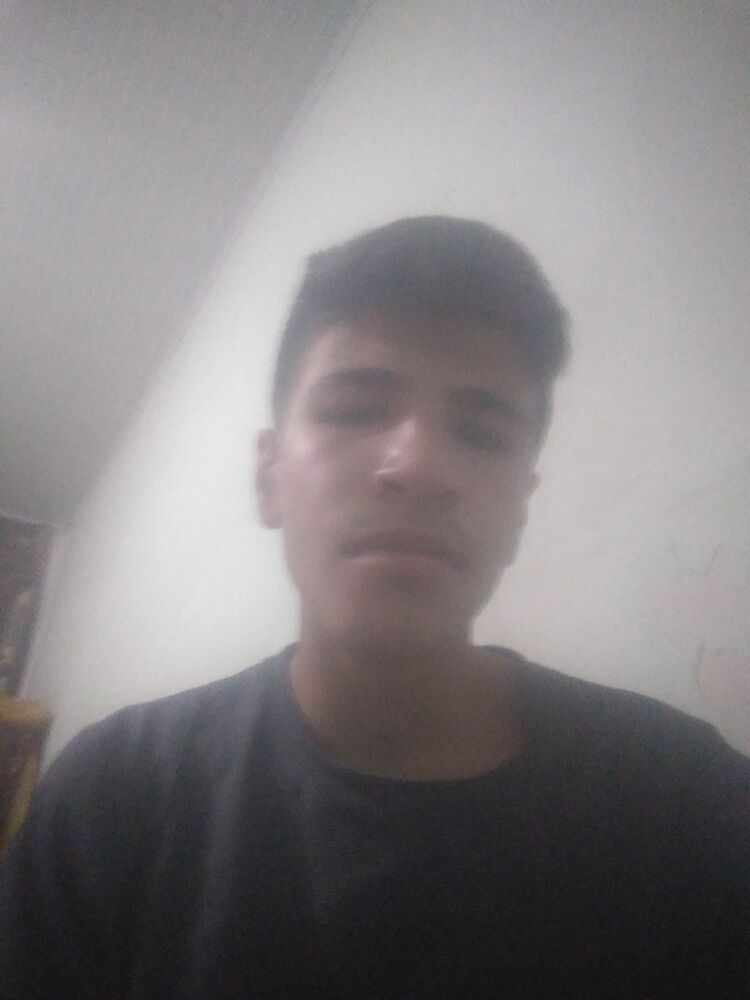  23197406  , 22 ,    