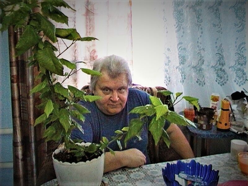  ,   , 68 ,   ,   , c 