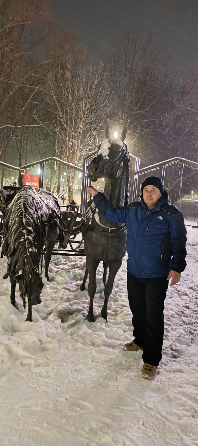 ���� 49298476 ������� ��������, 50 ���, ���� ���������� � �����