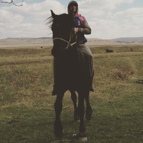 ���� 27312736 ������� ����, 29 ���, ���� ���������� � ����������