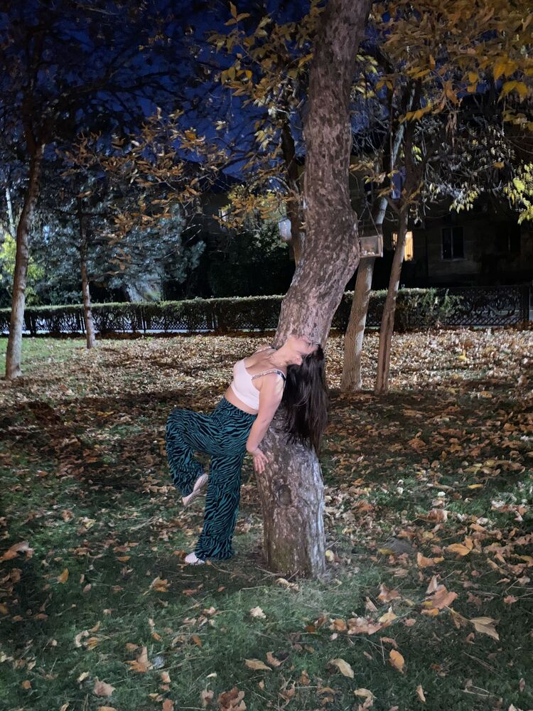  54331706  Panda, 30 ,    