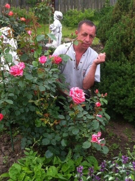 ���������� ������ ��������, ���� ������� ������, 51 ���, ������������ ��� ������, ����� � ���������, c�������� ���������