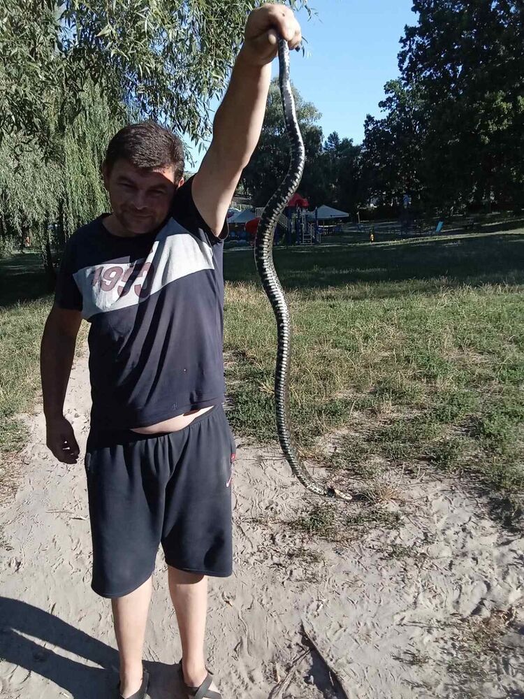  ,   , 46 ,   , 