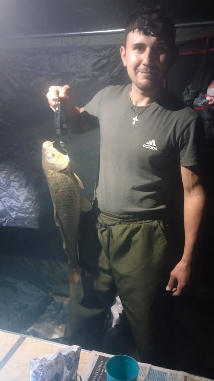 ���������� ������ �����, ���� ������� ������, 28 ���, ������������ ��� ������, ����� � ���������