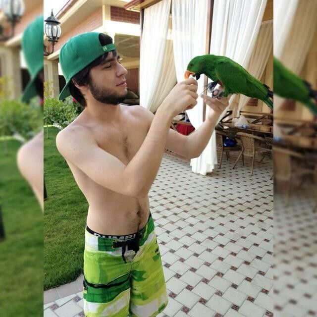  ,   , 28 ,   