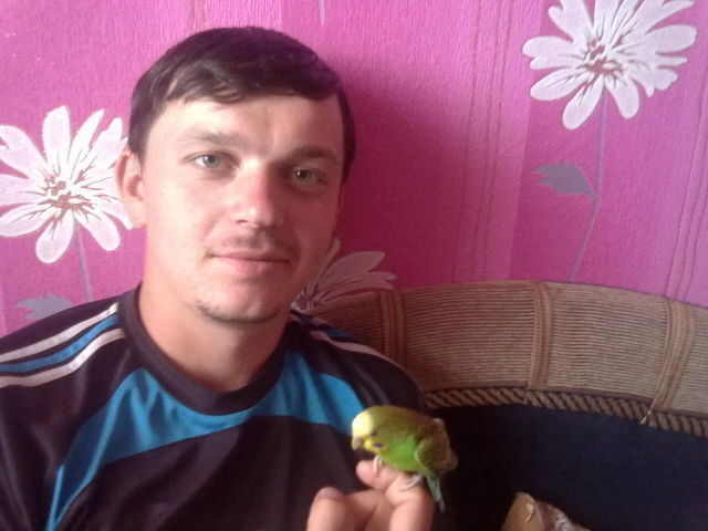  8503646  , 33 ,    --