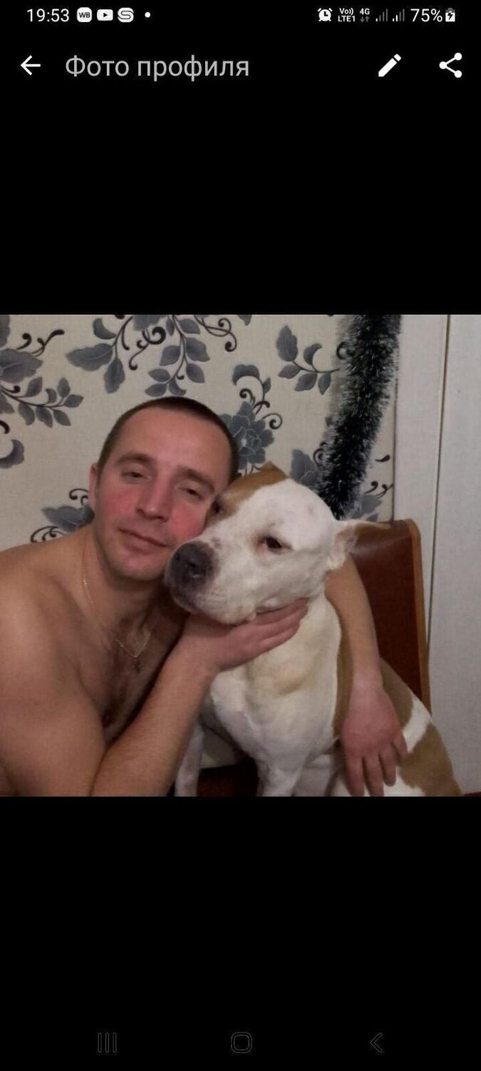 ���� 42330186 ������� �������, 39 ���, ���� ���������� � �������-��-����