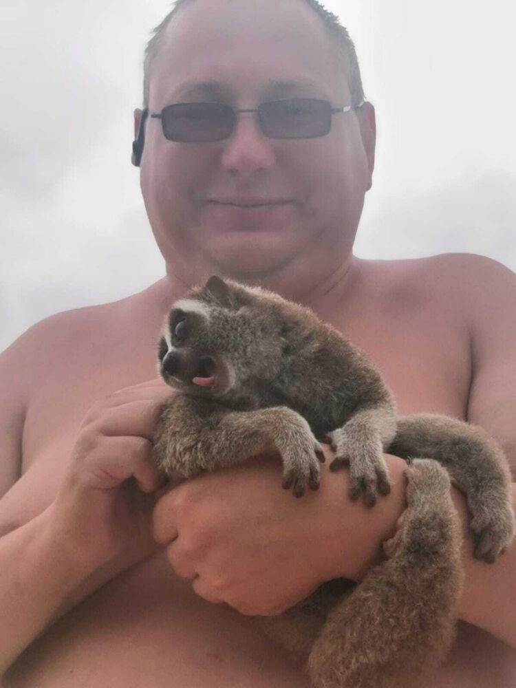 ���� 55580126 ������� ����, 46 ���, ���� ���������� � ������