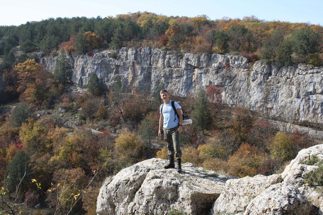 ���������� �����������, ���� ������� ������, 36 ���, ������������ ��� ������, ����� � ���������, c�������� ���������