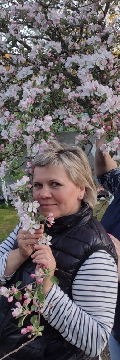 ���� 22375326 ������� �������, 50 ���, ���� ���������� � �����-����������