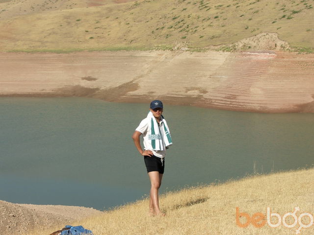  1081106  Miki_17, 43 ,    