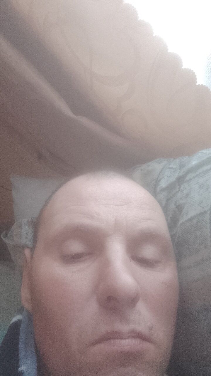 ���� 55934566 ������� ��������, 40 ���, ���� ���������� � �������������