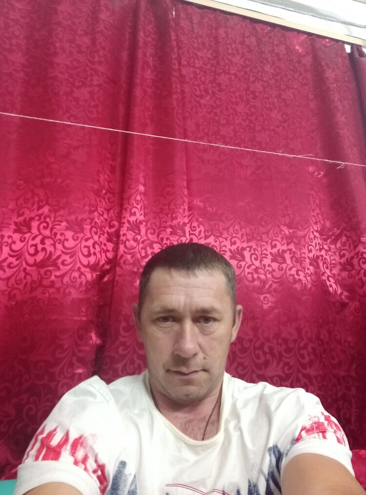  38875586  , 44 ,    