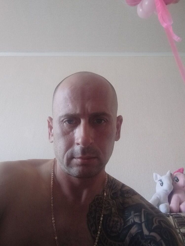  45534166  , 43 ,    