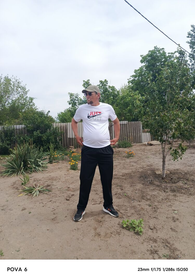  53501536  , 43 ,    --