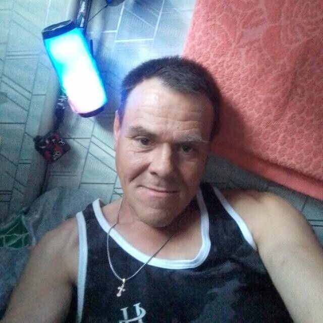  53644506  , 43 ,    -