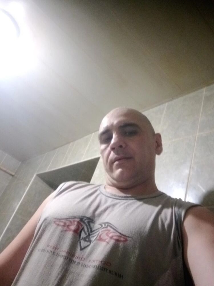  53443786  , 40 ,    