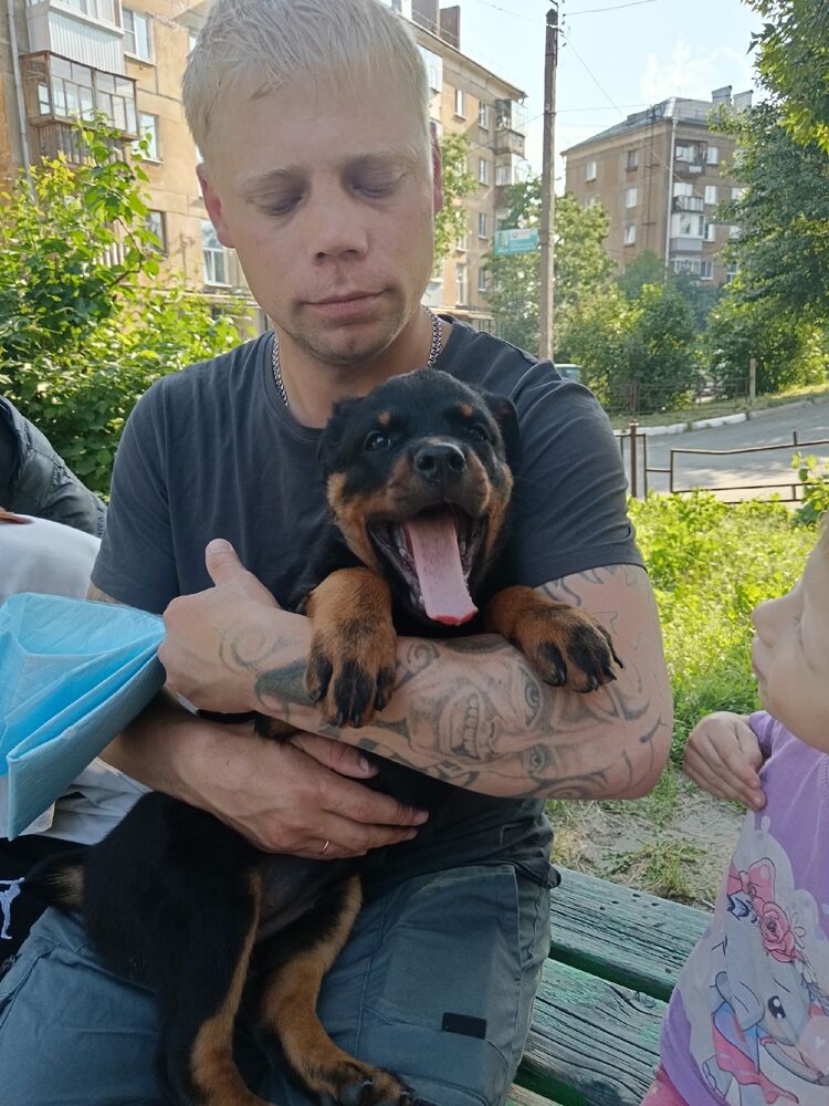 ���� 56032446 ������� ������, 33 ����, ���� ���������� � ������ ������