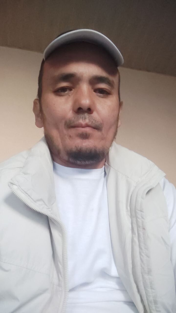  50517016  , 43 ,    