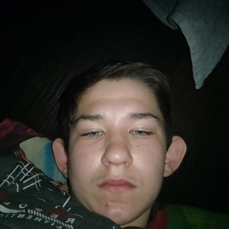  44077656  , 23 ,    