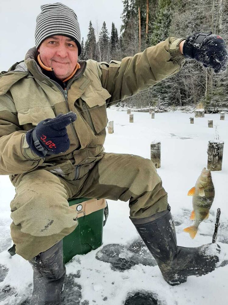 ���� 44460476 ������� ������, 54 ����, ���� ���������� � ������