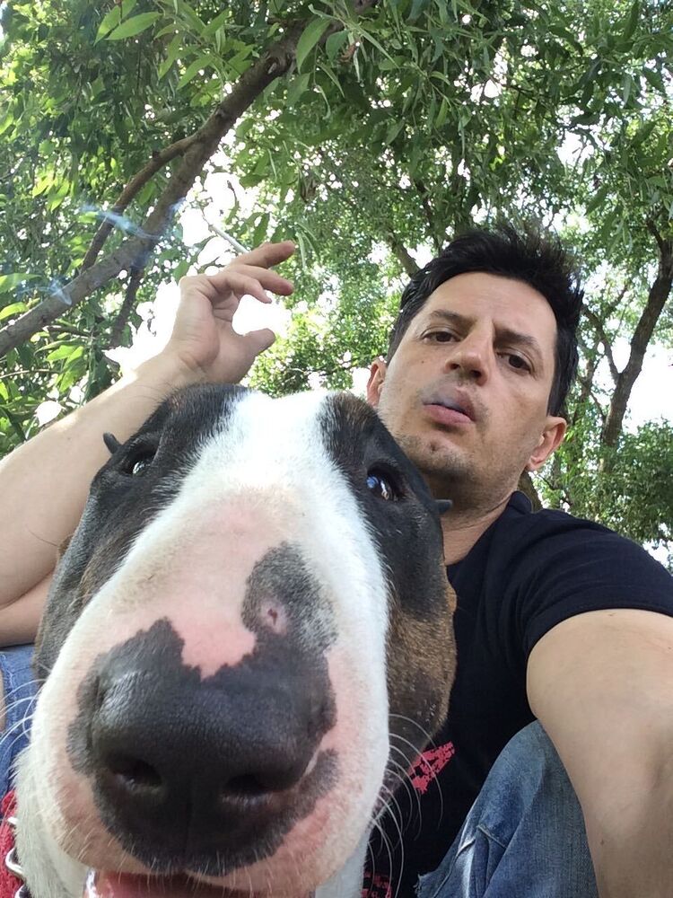 ���� 24242776 ������� �����, 36 ���, ���� ���������� � ������