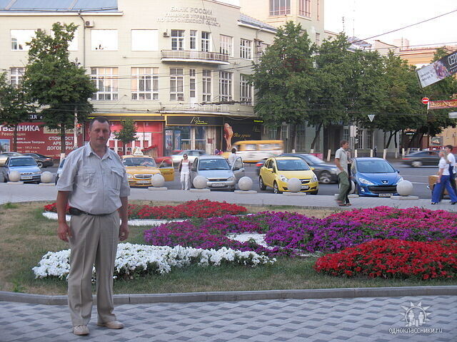  36490426  , 58 ,    