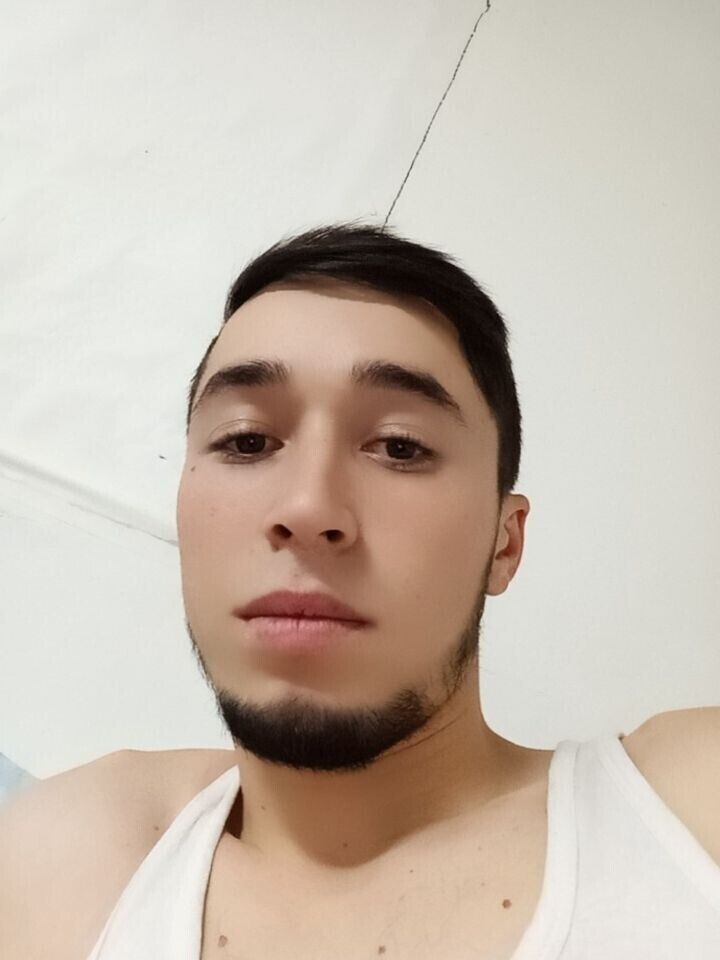  51501906  , 24 ,    -