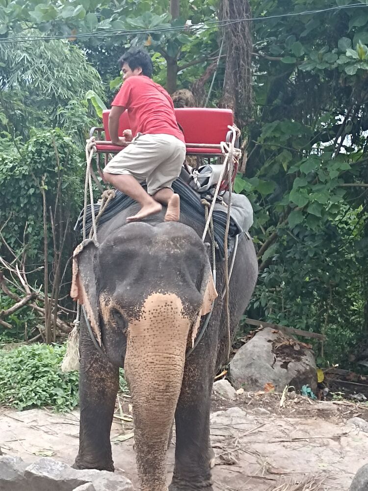 ���� 38967056 ������� ���������, 48 ���, ���� ���������� � �������