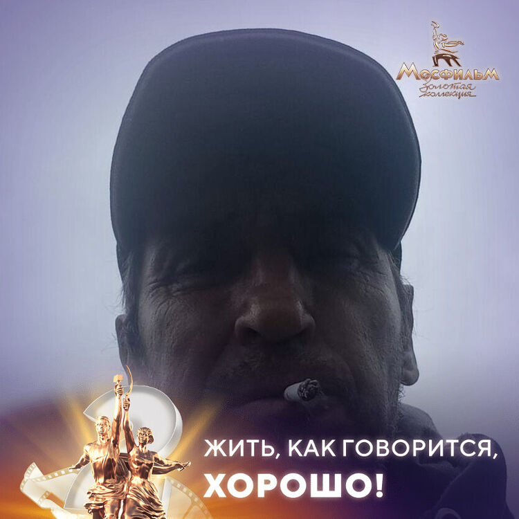  33888466  , 47 ,    