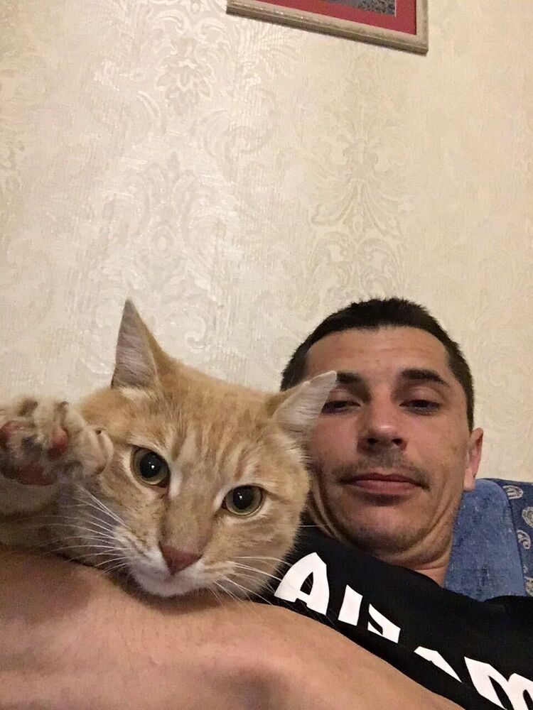 ���������� ������, ���� ������� ��������, 40 ���, ������������ ��� ������, ����� � ���������, c�������� ���������, ���������