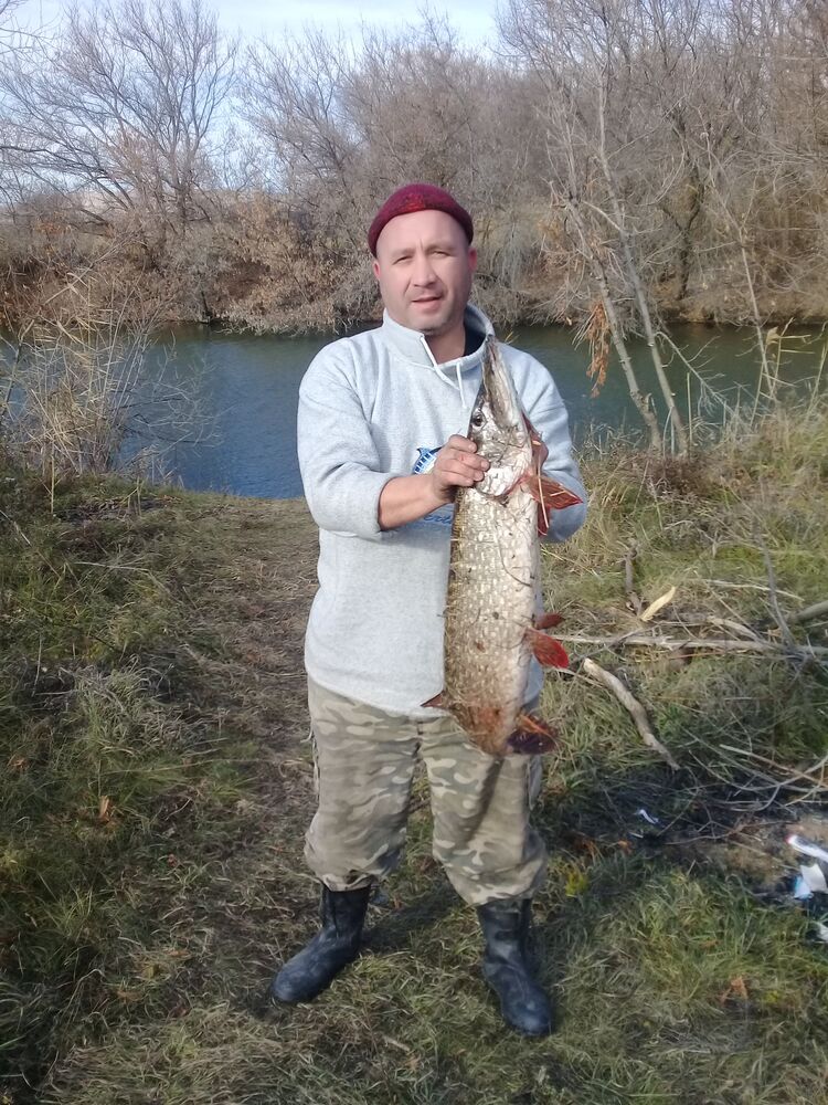 ���� 24734216 ������� ������, 45 ���, ���� ���������� � �����-����������