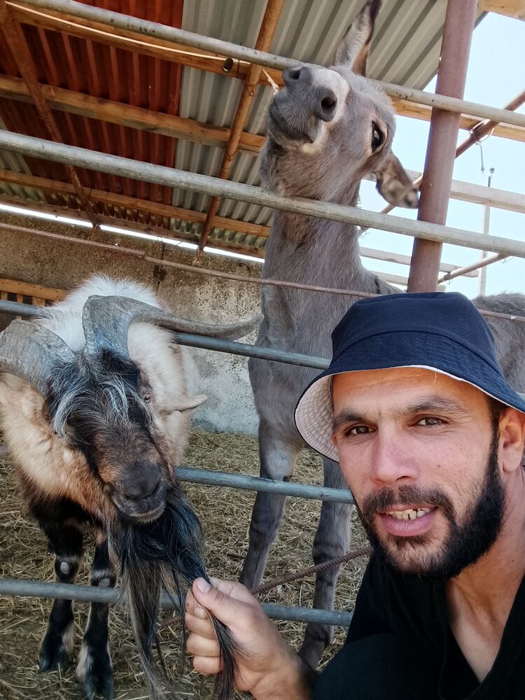  ,   , 32 ,   ,   