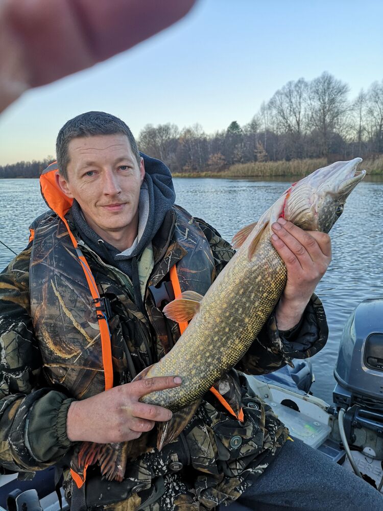 ���������� �����, ���� ������� �����, 45 ���, ������������ ��� ����� � ���������, c�������� ���������