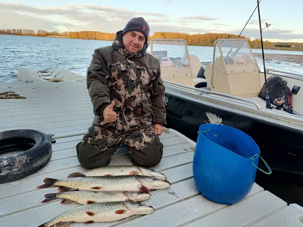 ���������� ������, ���� ������� Roman, 50 ���, ������������ ��� ������, ����� � ���������