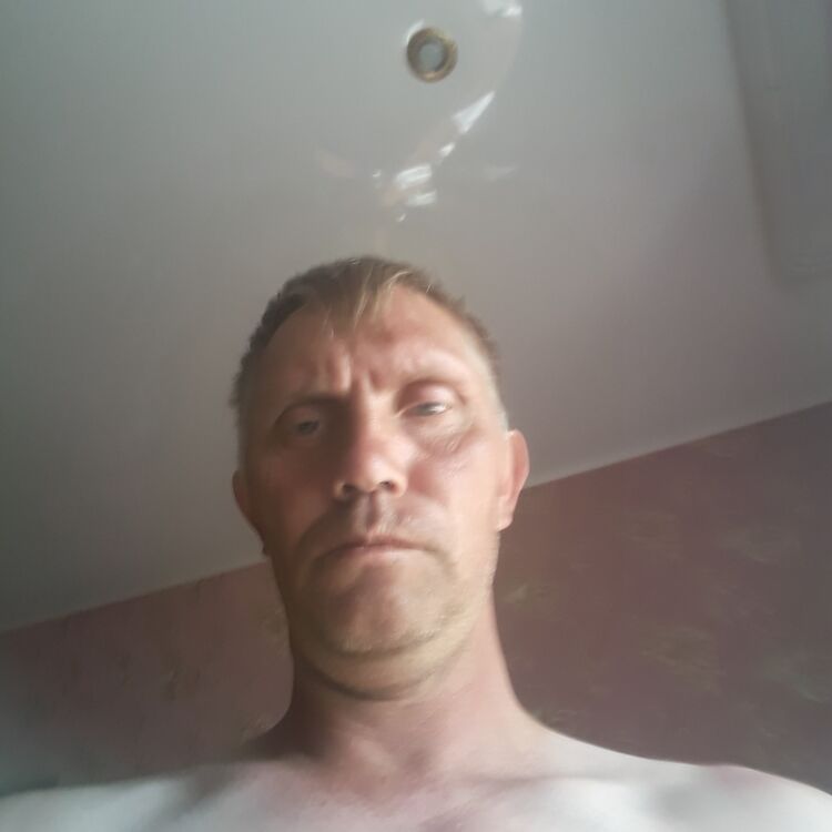  23090126  , 43 ,    