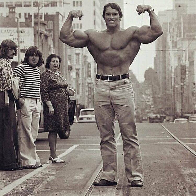 ���� 21512536 ����� Professonal, 25 ���, ���� ���������� � ������