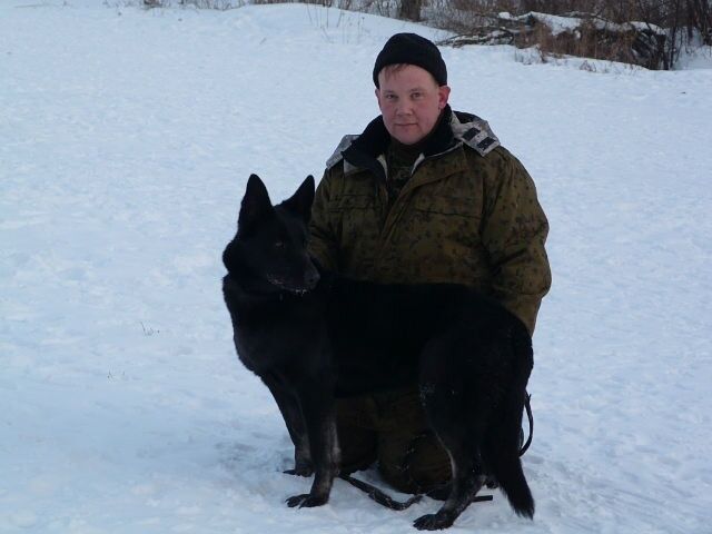 ���� 50568216 ������� ������, 44 ����, ���� ���������� � ������